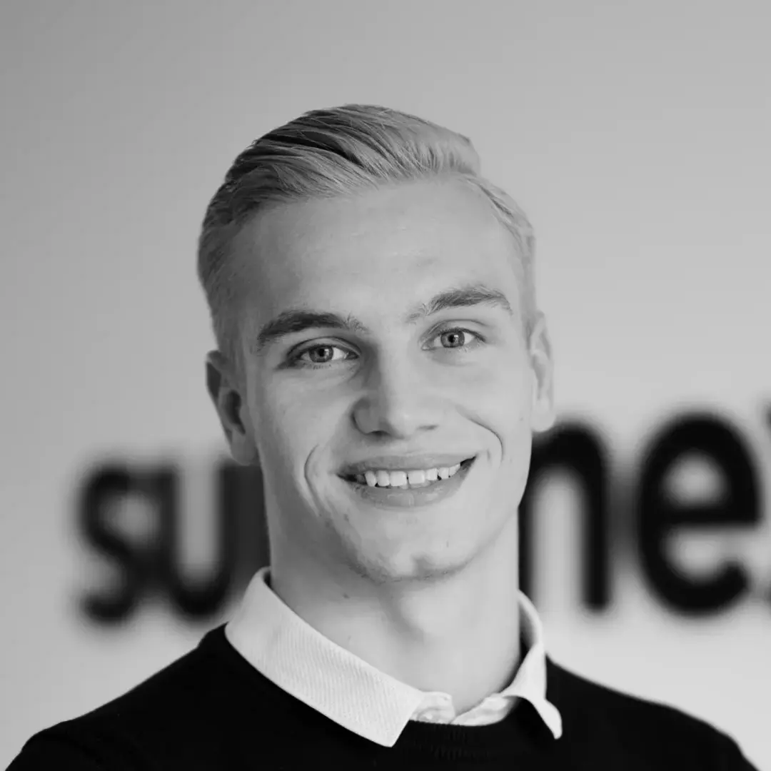 Joël de Vries Summex